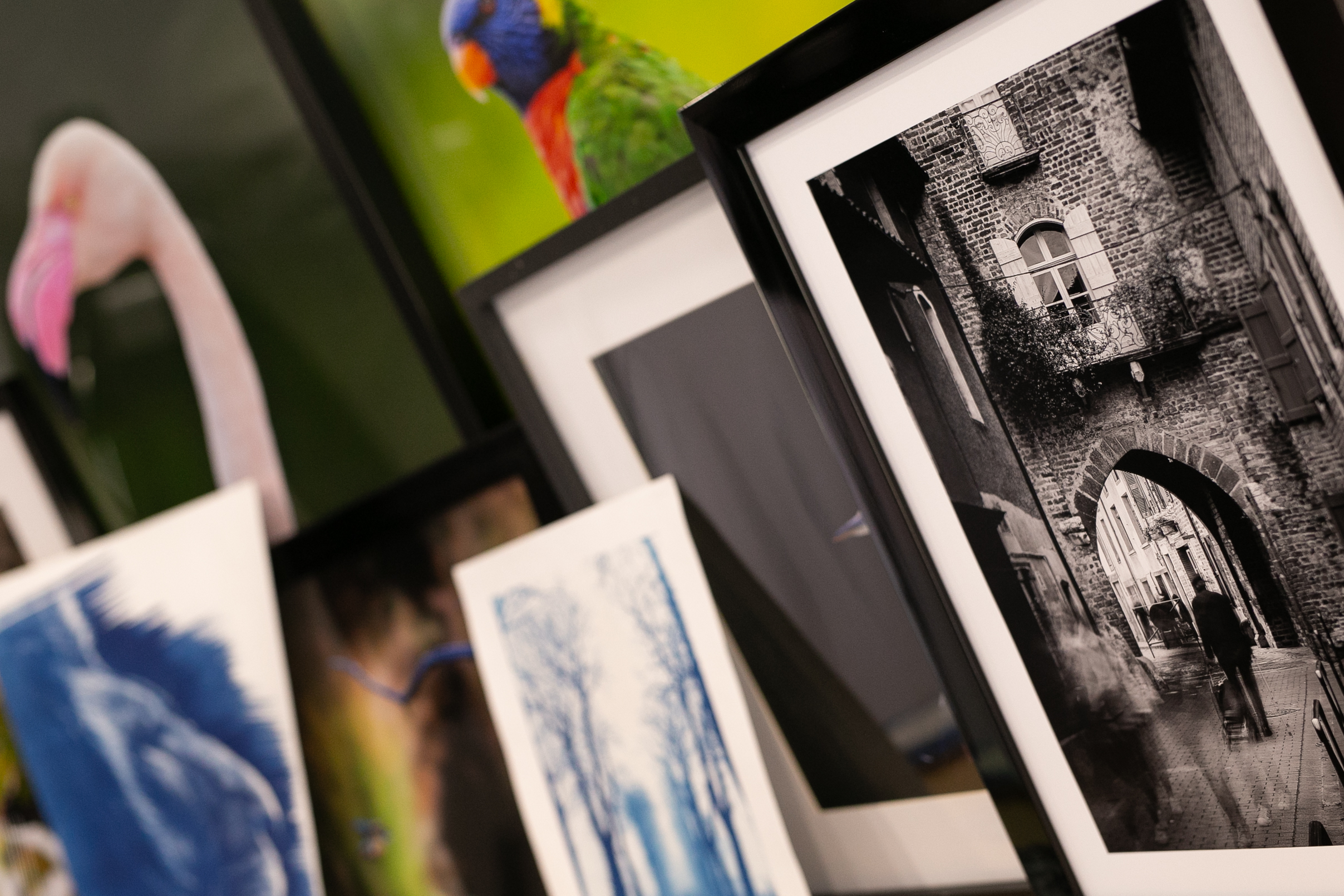 Des images à vivre